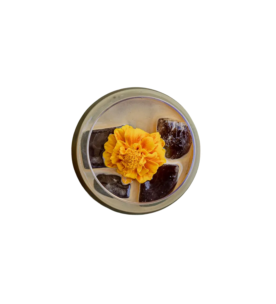 Espresso Bubbly Blossom